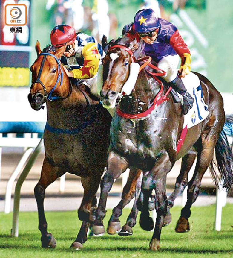 沙田馬場隆重開鑼！  賽馬貼士